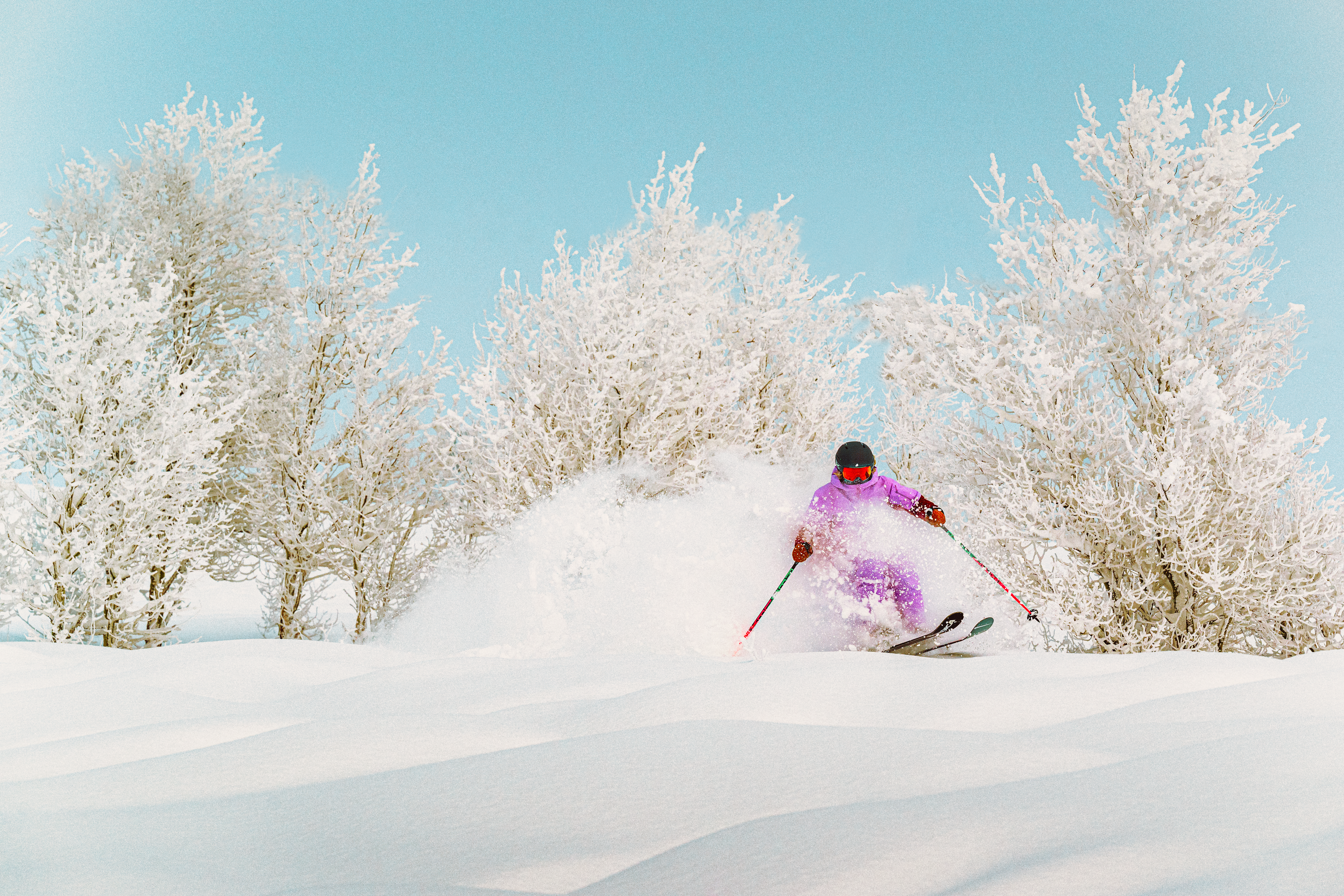 lucysackbauer_sunvalley_v1